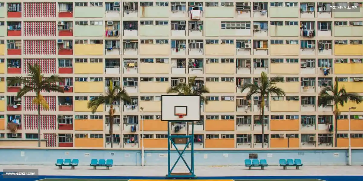 pa视讯平台——专业装备加持，解锁运动新可能！🏋️‍♀️